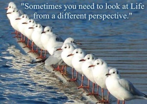 sometimes-you-need-to-look-at-life-from-a-different-perspective-quote-1